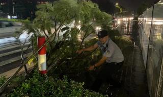 风雨中是你的身影